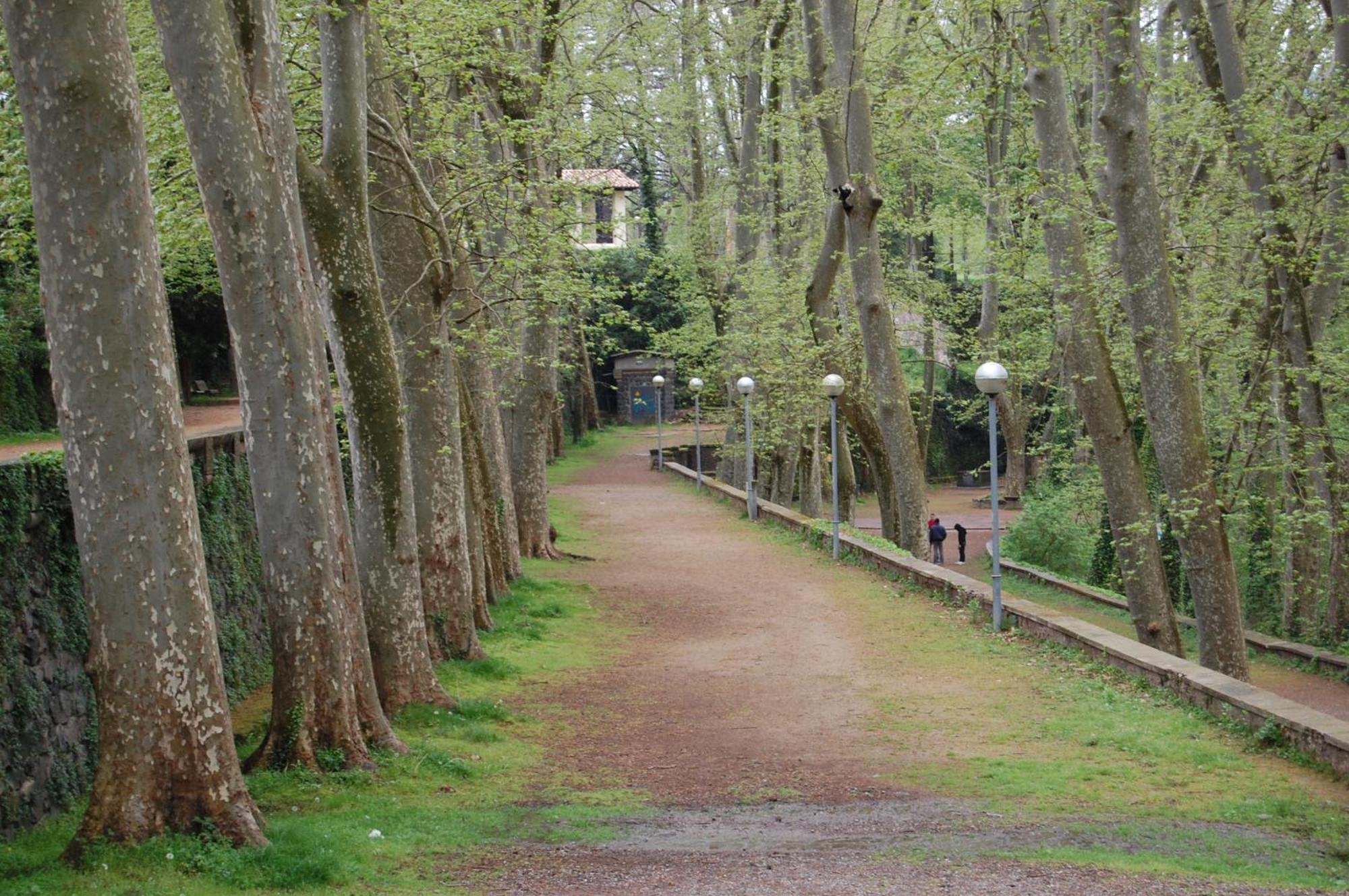 El Solell De L'Avia Villa Olot Ngoại thất bức ảnh